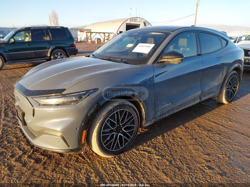 Ford Mustang Mach-E 2024 — миниатюра 2