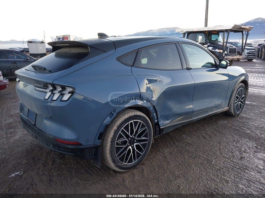 Ford Mustang Mach-E 2024 — миниатюра 6