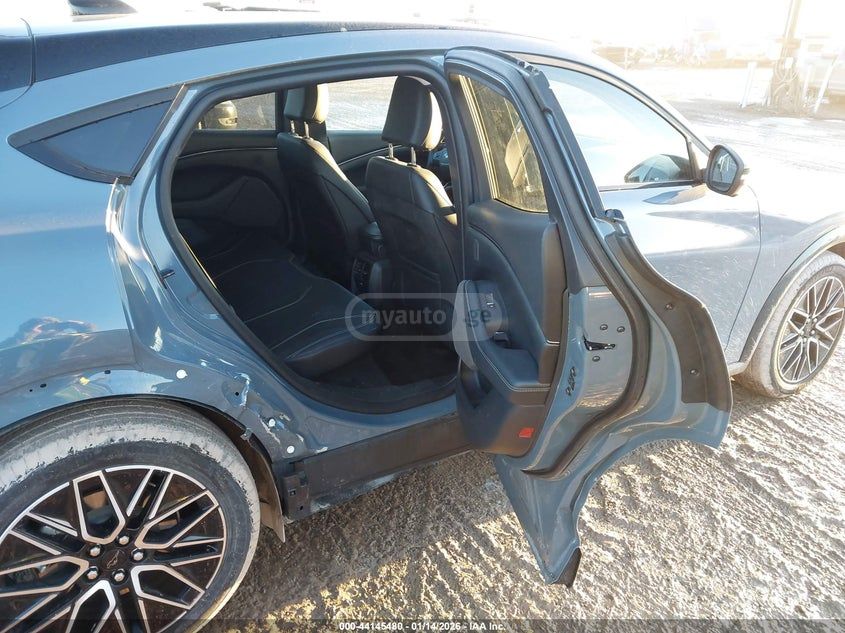 Ford Mustang Mach-E 2024 — миниатюра 8