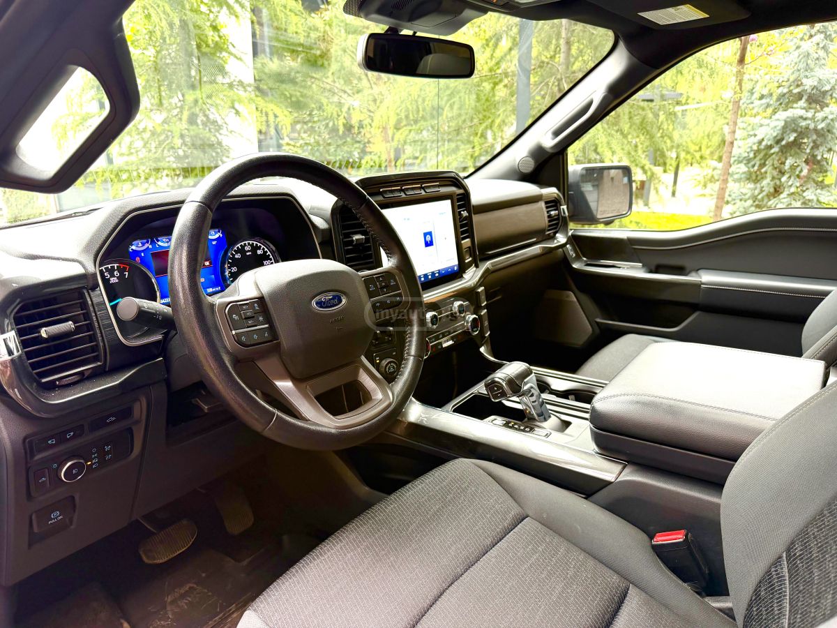 Ford F-150 - фото 12