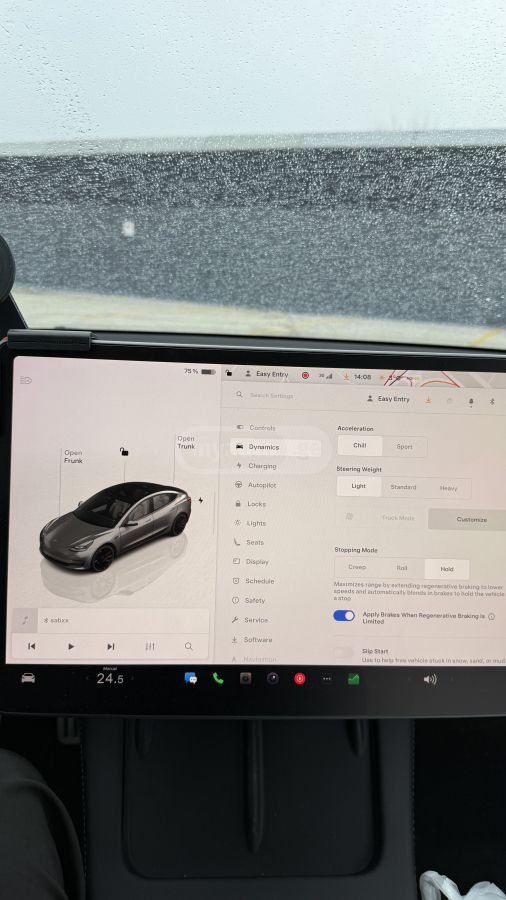 Tesla Dual Motor Performance — миниатюра 11
