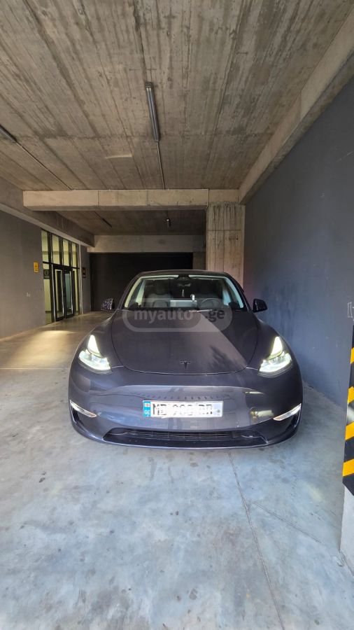 Tesla Model Y - фото 1