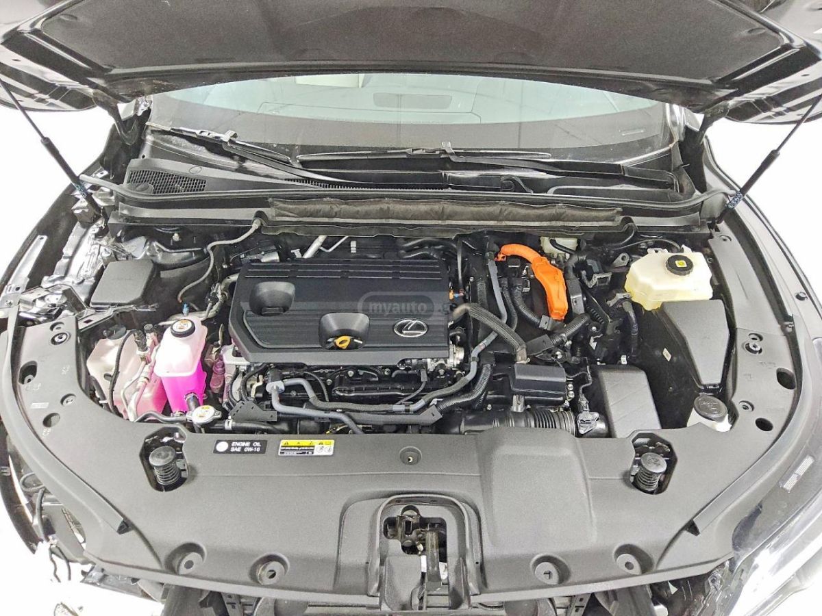 Lexus F SPORT — миниатюра 11