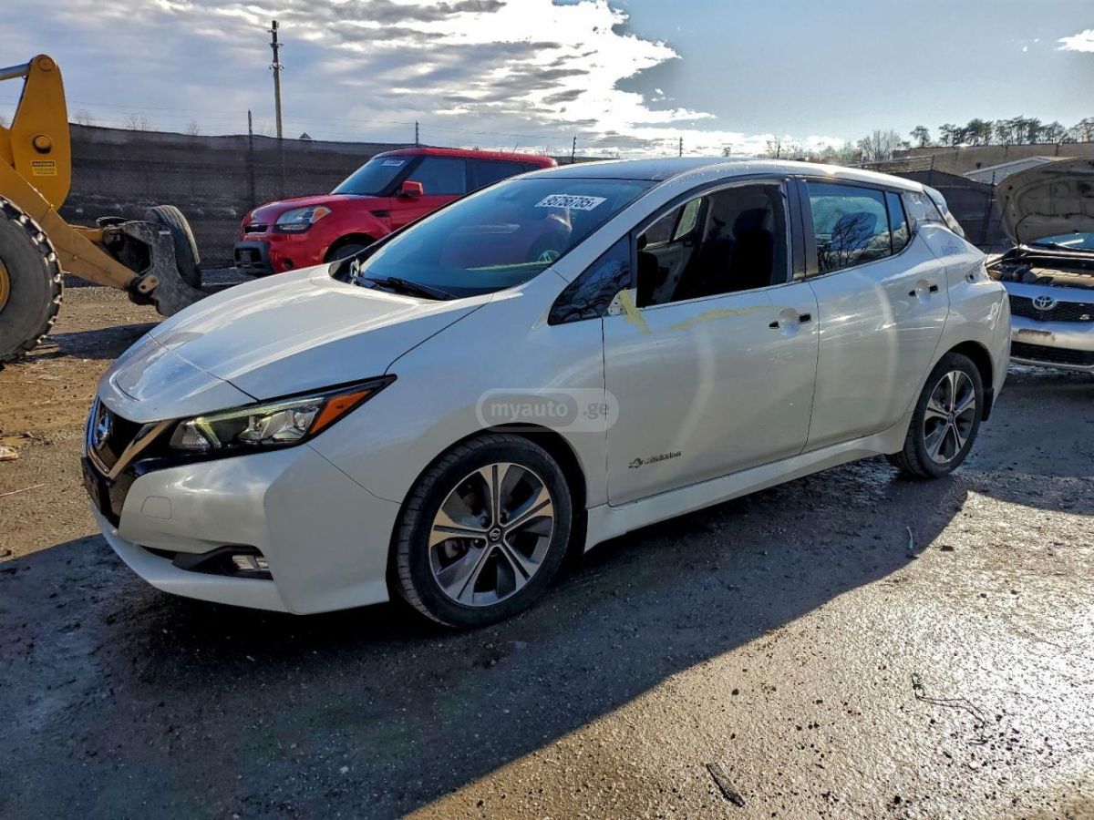 Nissan Leaf - фото 1