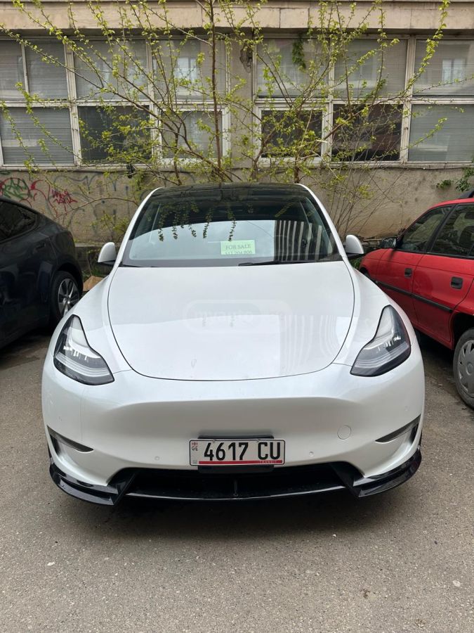 Tesla Model Y - фото 1