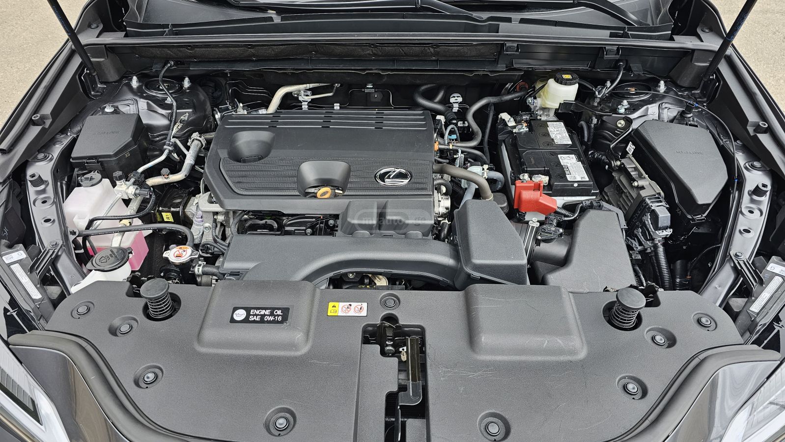 Lexus NX 250 - фото 13