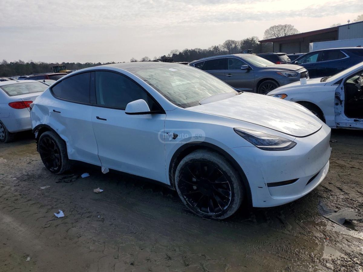 Tesla Model Y - фото 1