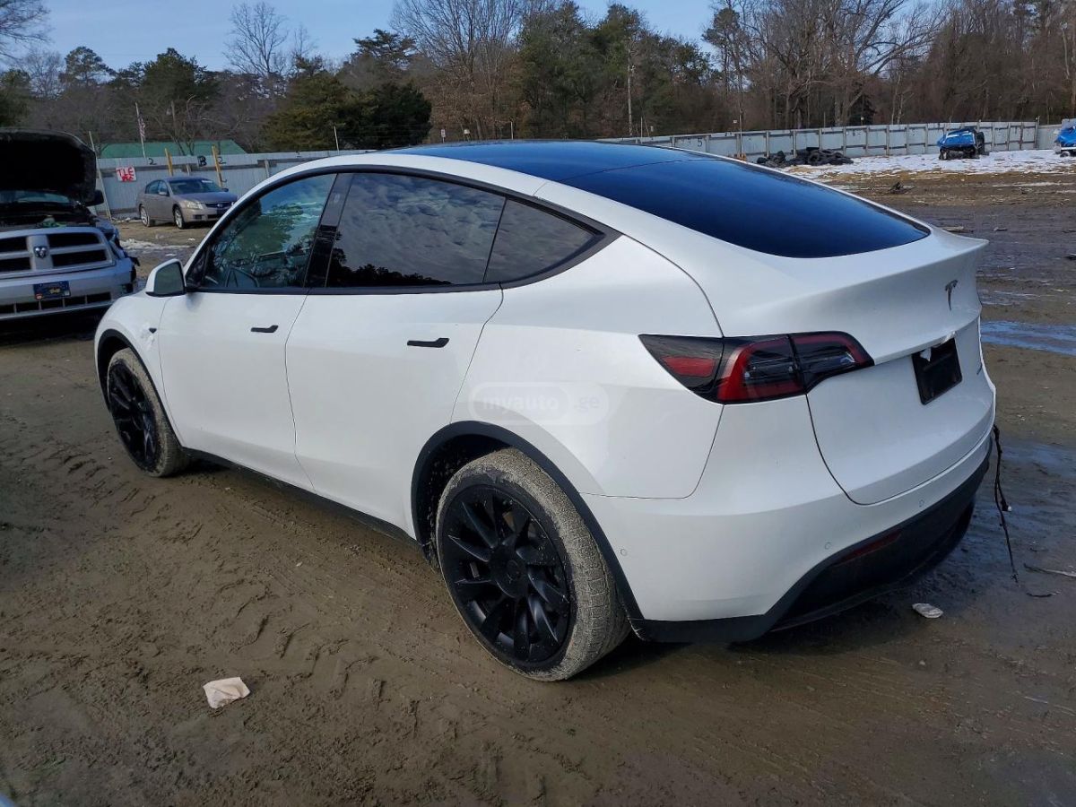 Tesla Model Y - фото 3