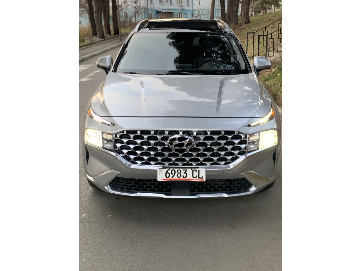 Hyundai Santa FE - фото 13