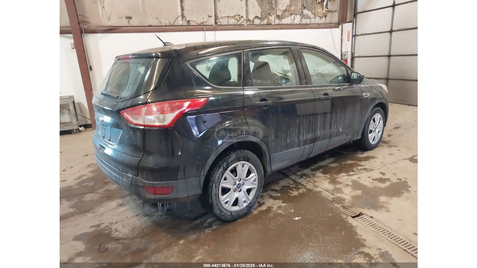 Ford Escape - фото 3