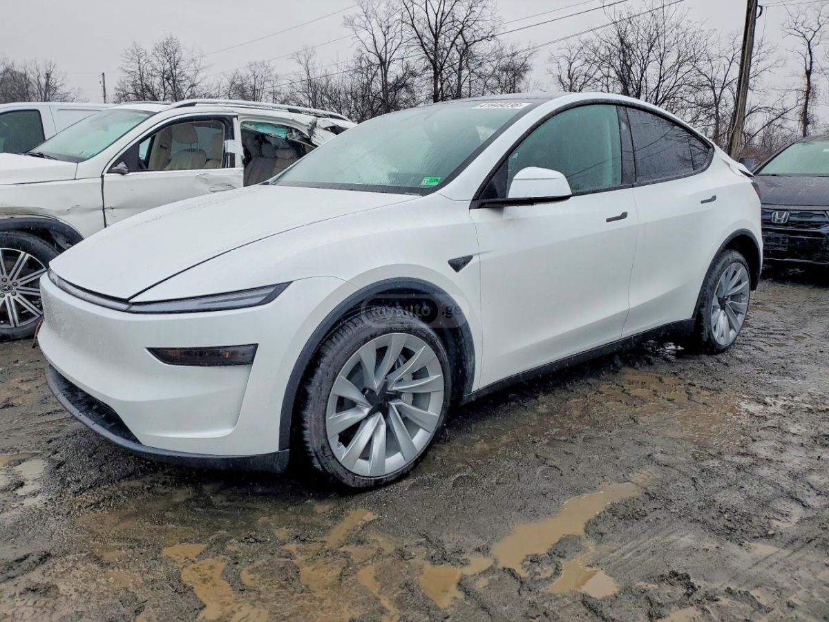 Tesla Model Y 2026 — миниатюра 1