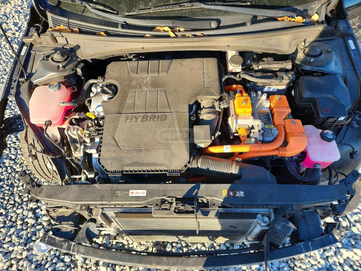 Hyundai Elantra - фото 11