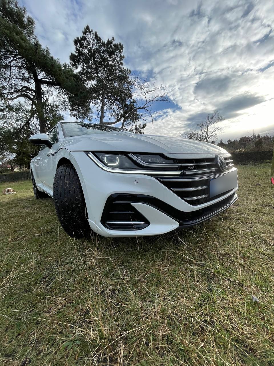 Volkswagen максимальная — миниатюра 3