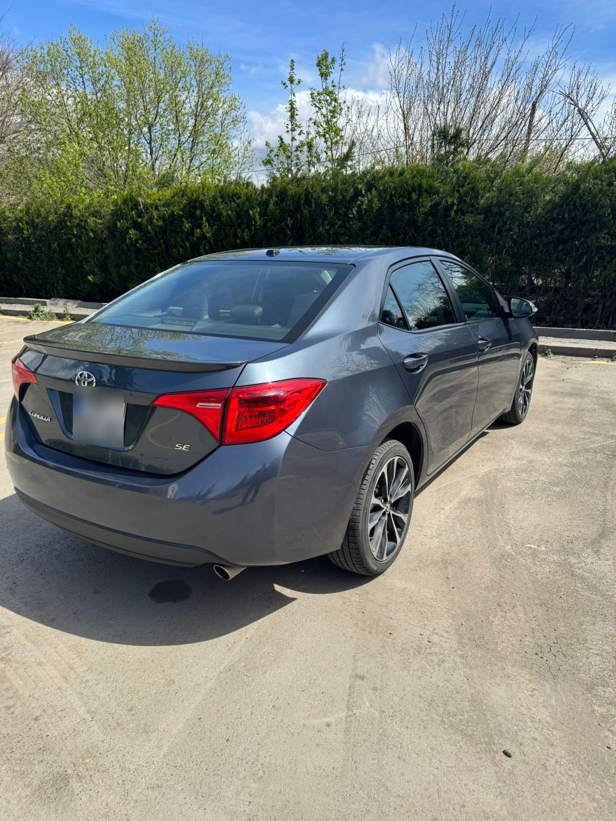 Toyota Corolla - фото 4