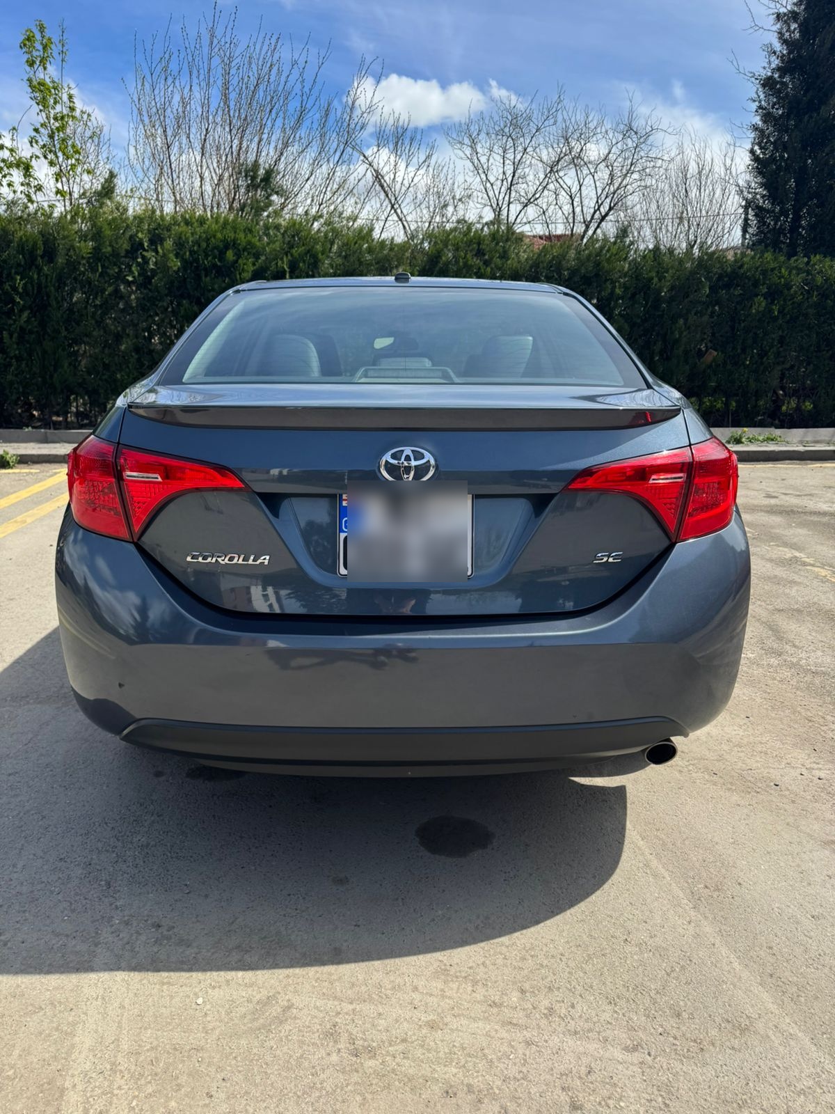 Toyota Corolla - фото 6