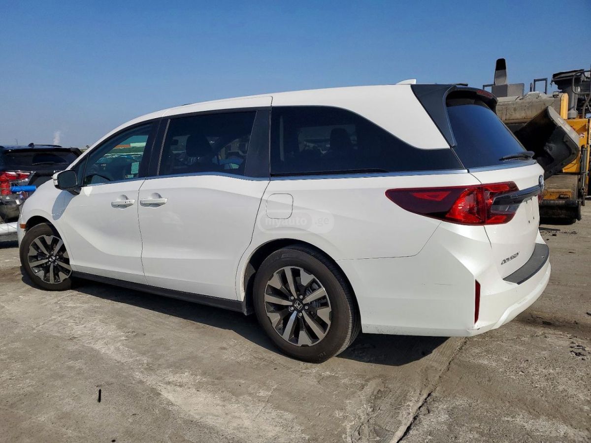 Honda Odyssey 2025 — миниатюра 2