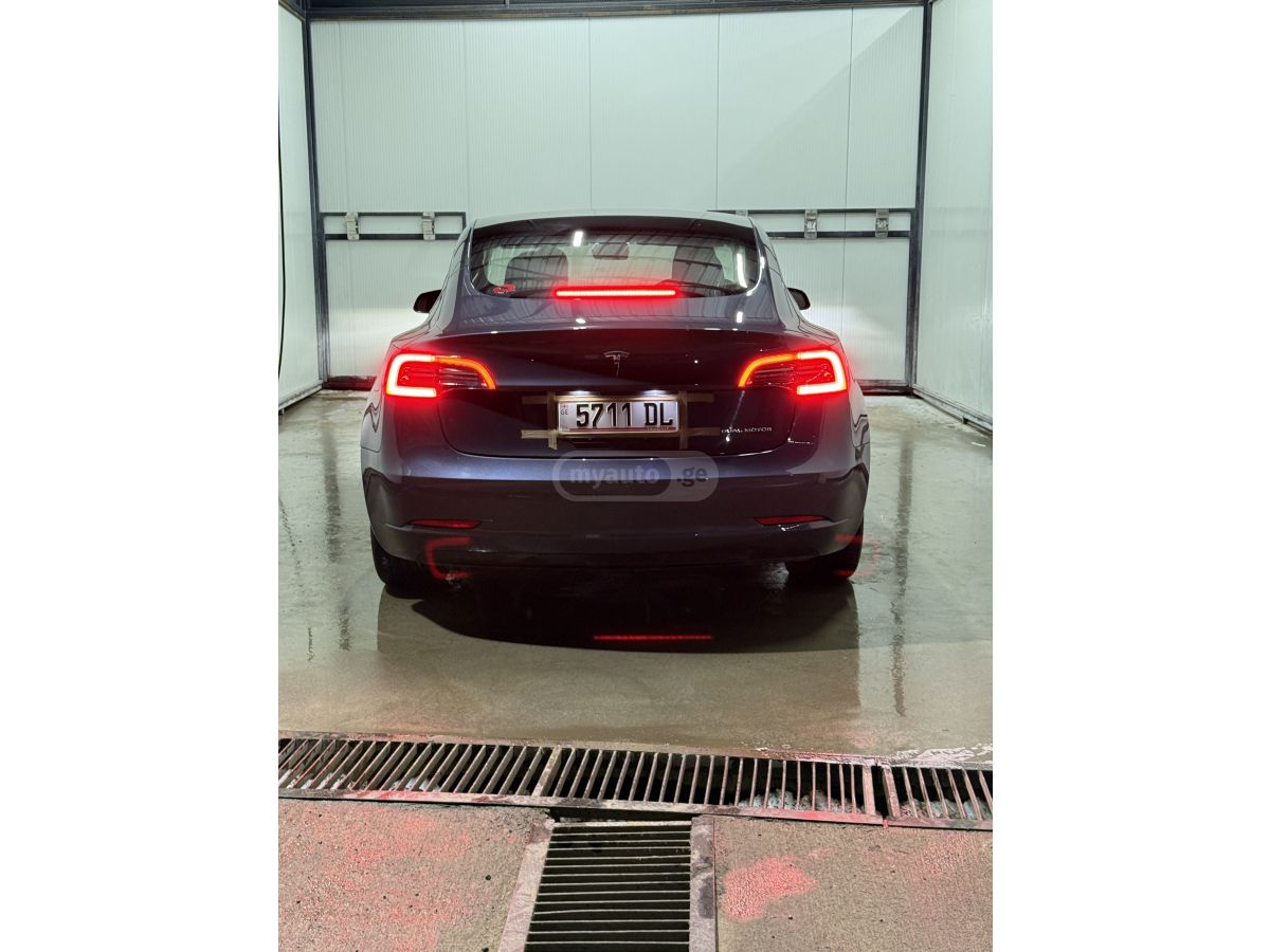 Tesla Dual motorsi — миниатюра 2