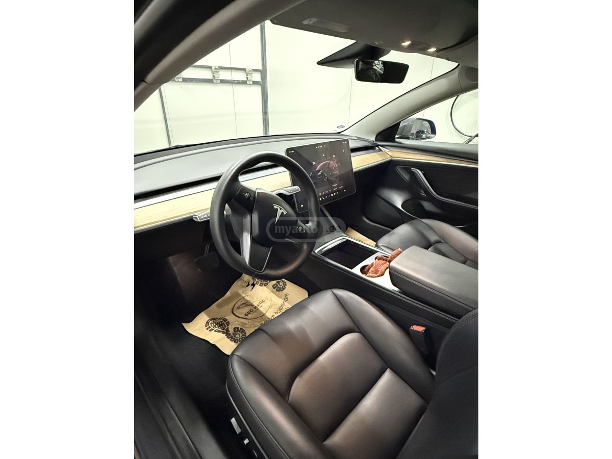 Tesla Dual motorsi — миниатюра 4