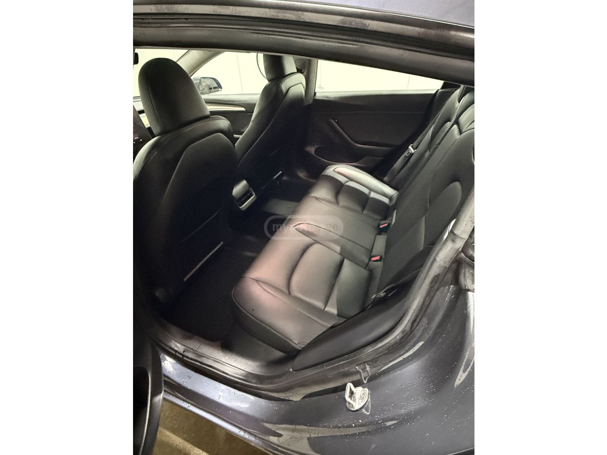 Tesla Dual motorsi — миниатюра 5