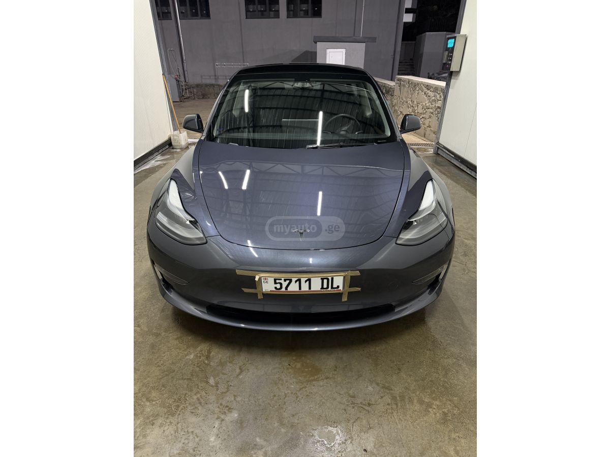Tesla Dual motorsi — миниатюра 6