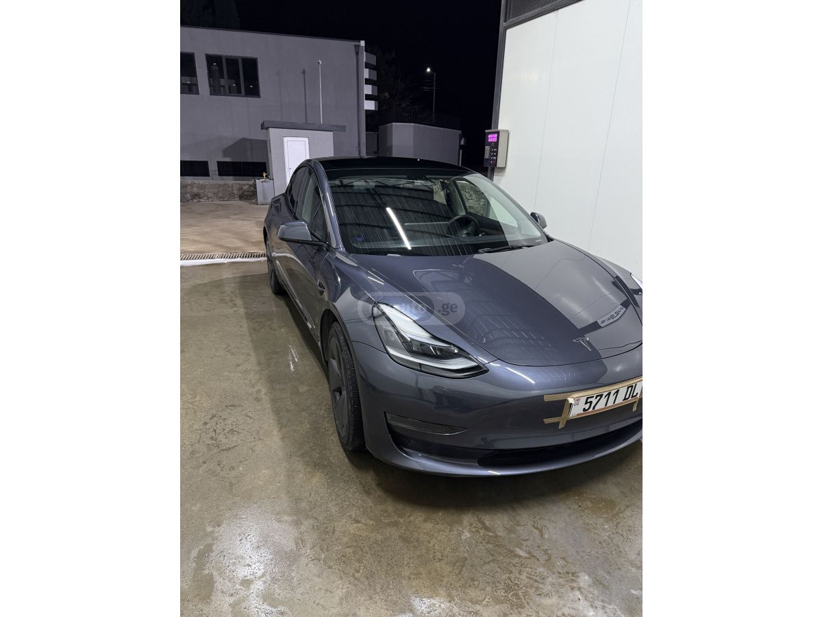 Tesla Dual motorsi — миниатюра 7