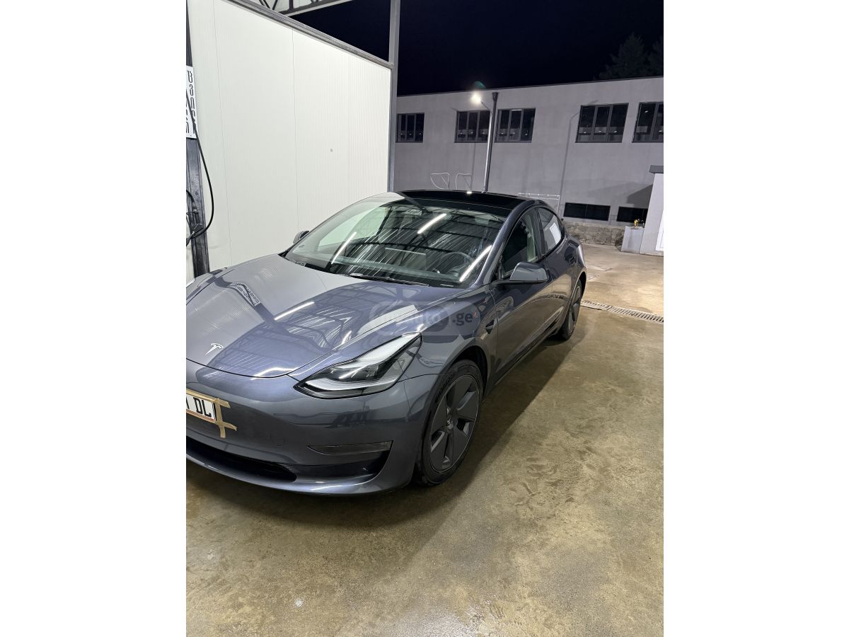 Tesla Dual motorsi — миниатюра 8