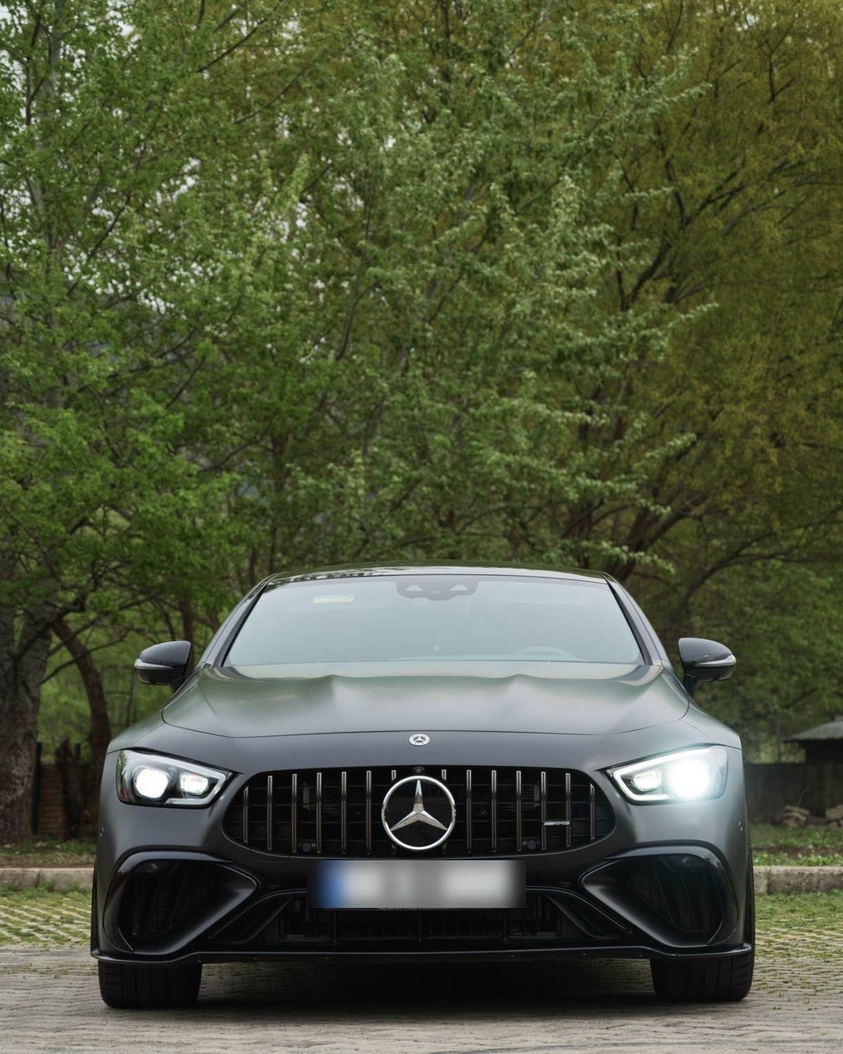 Mercedes-Benz AMG GT - фото 1
