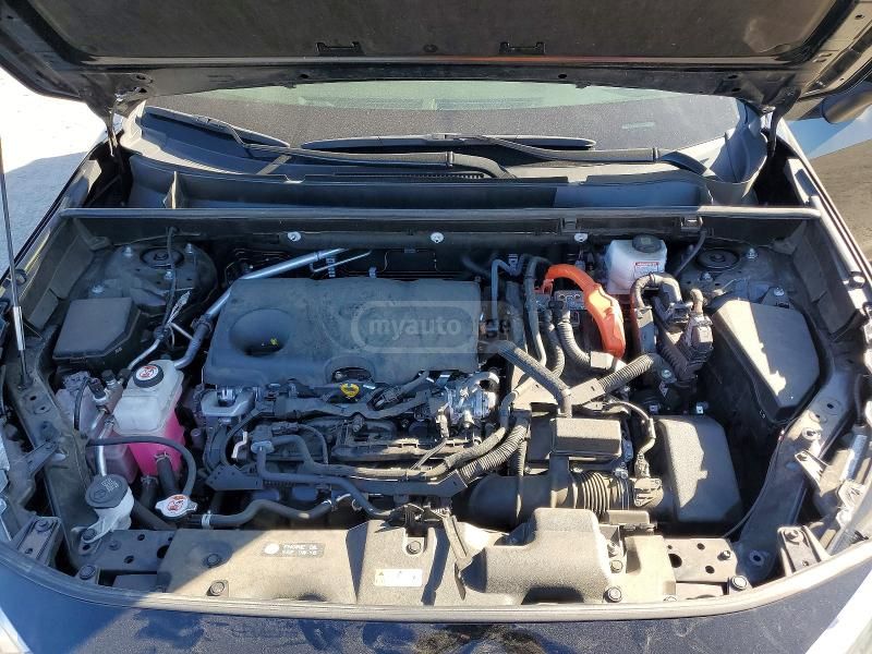 Toyota XLE 4dr All Wheel Drive CVT — миниатюра 5