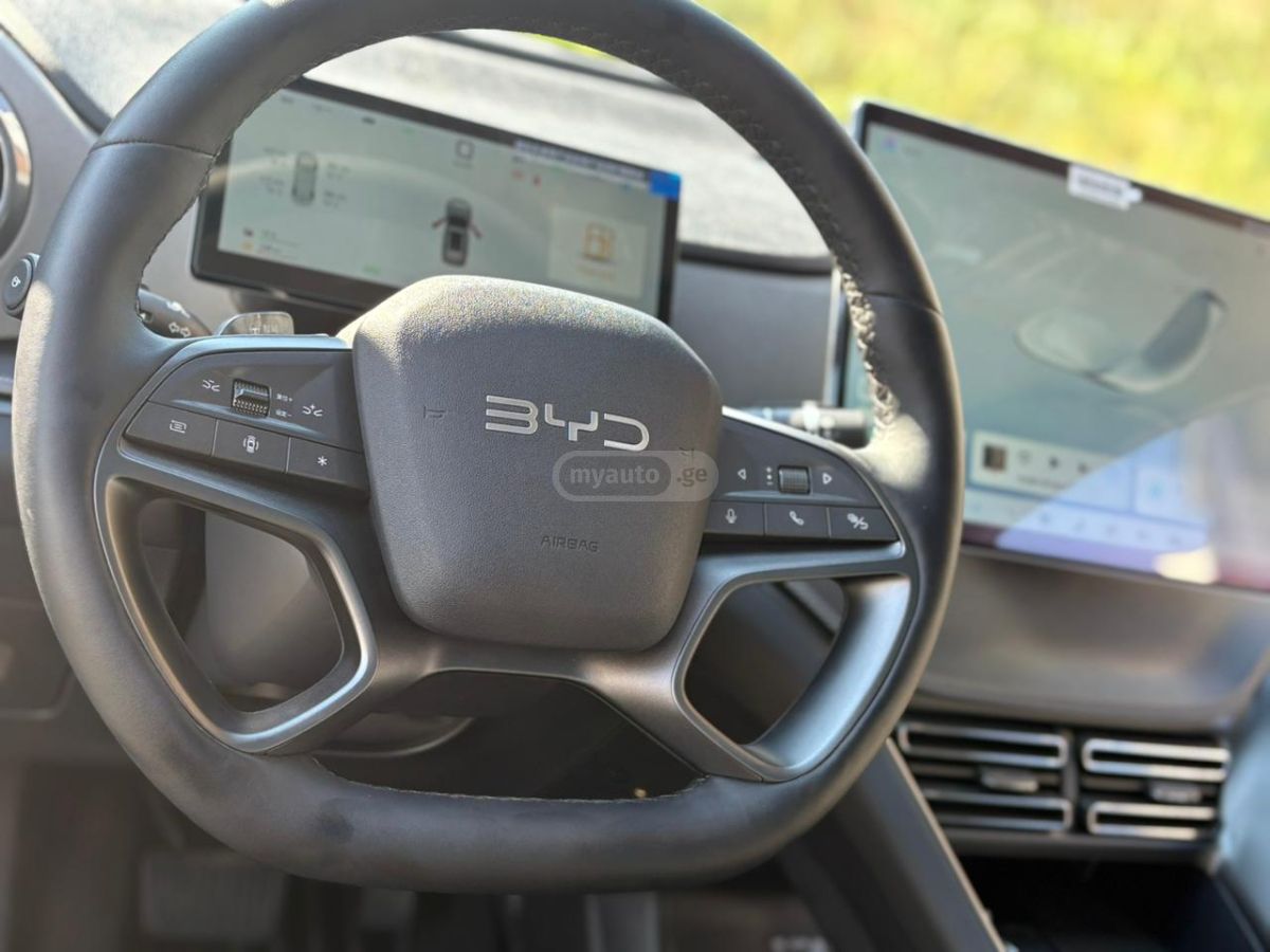 BYD Flagship — миниатюра 11