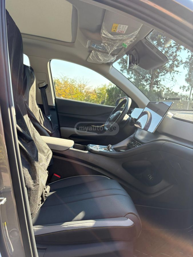 BYD Flagship — миниатюра 14