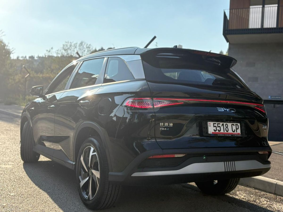 BYD Flagship — миниатюра 5