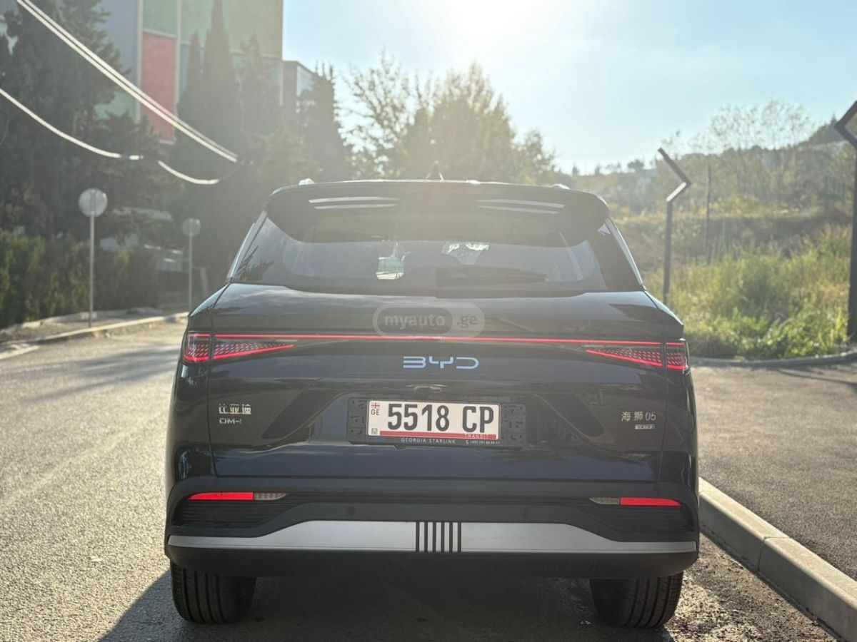 BYD Flagship — миниатюра 6