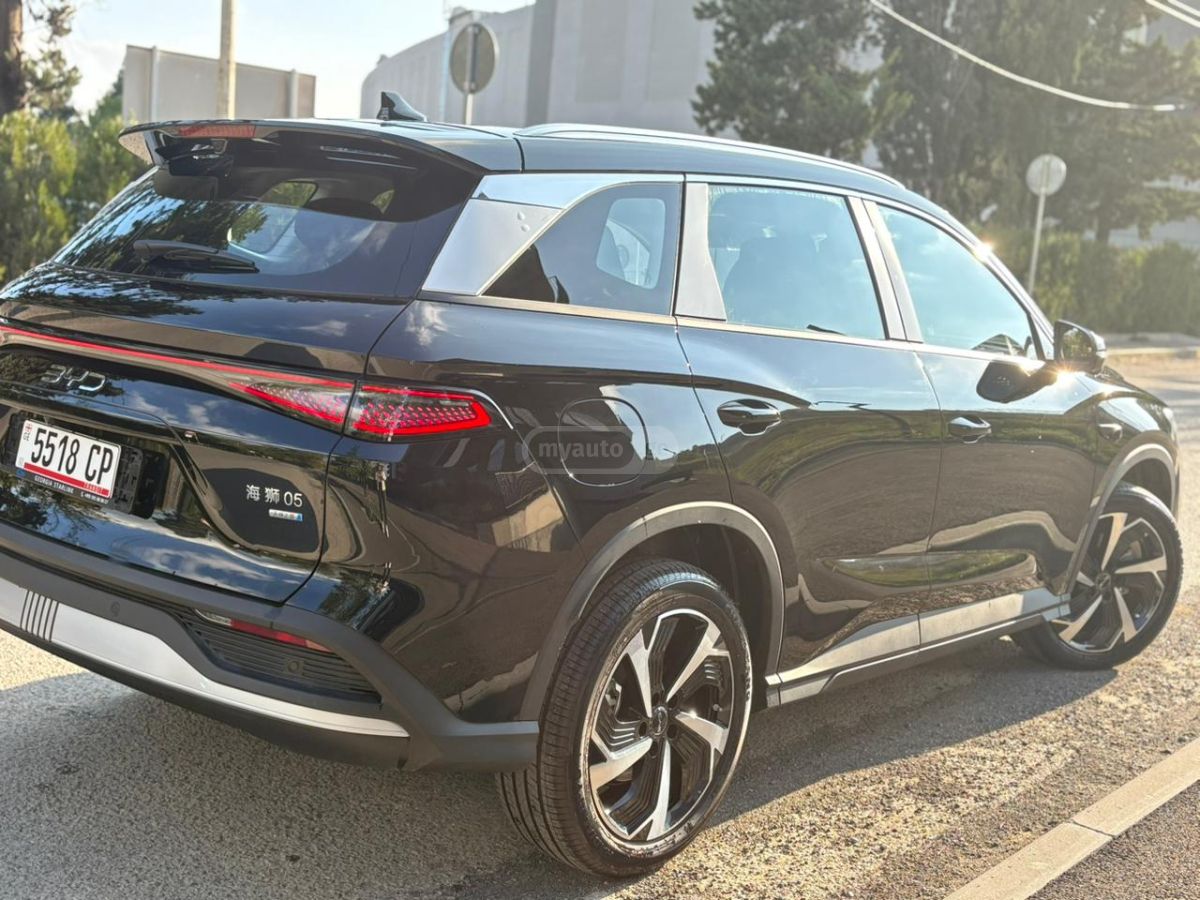 BYD Flagship — миниатюра 7