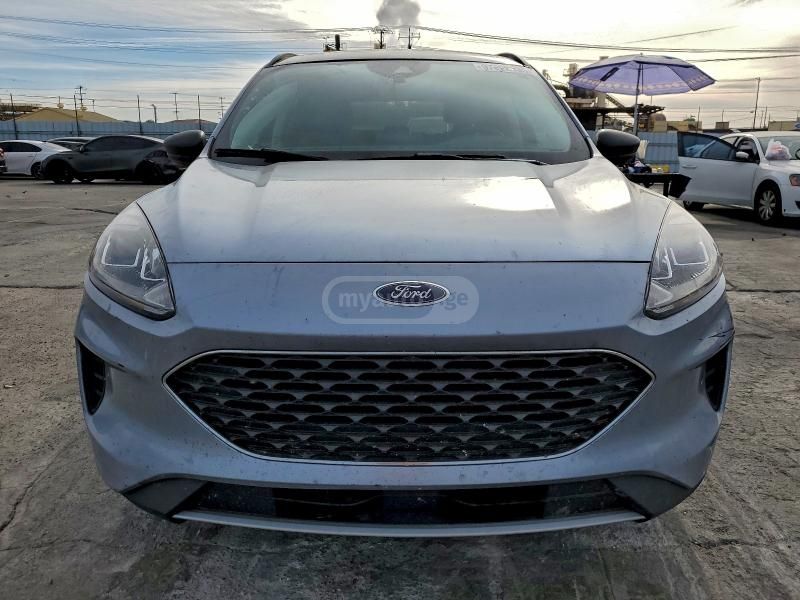 Ford Escape - фото 5