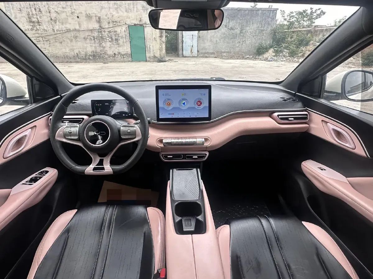 BYD Seagull - фото 9