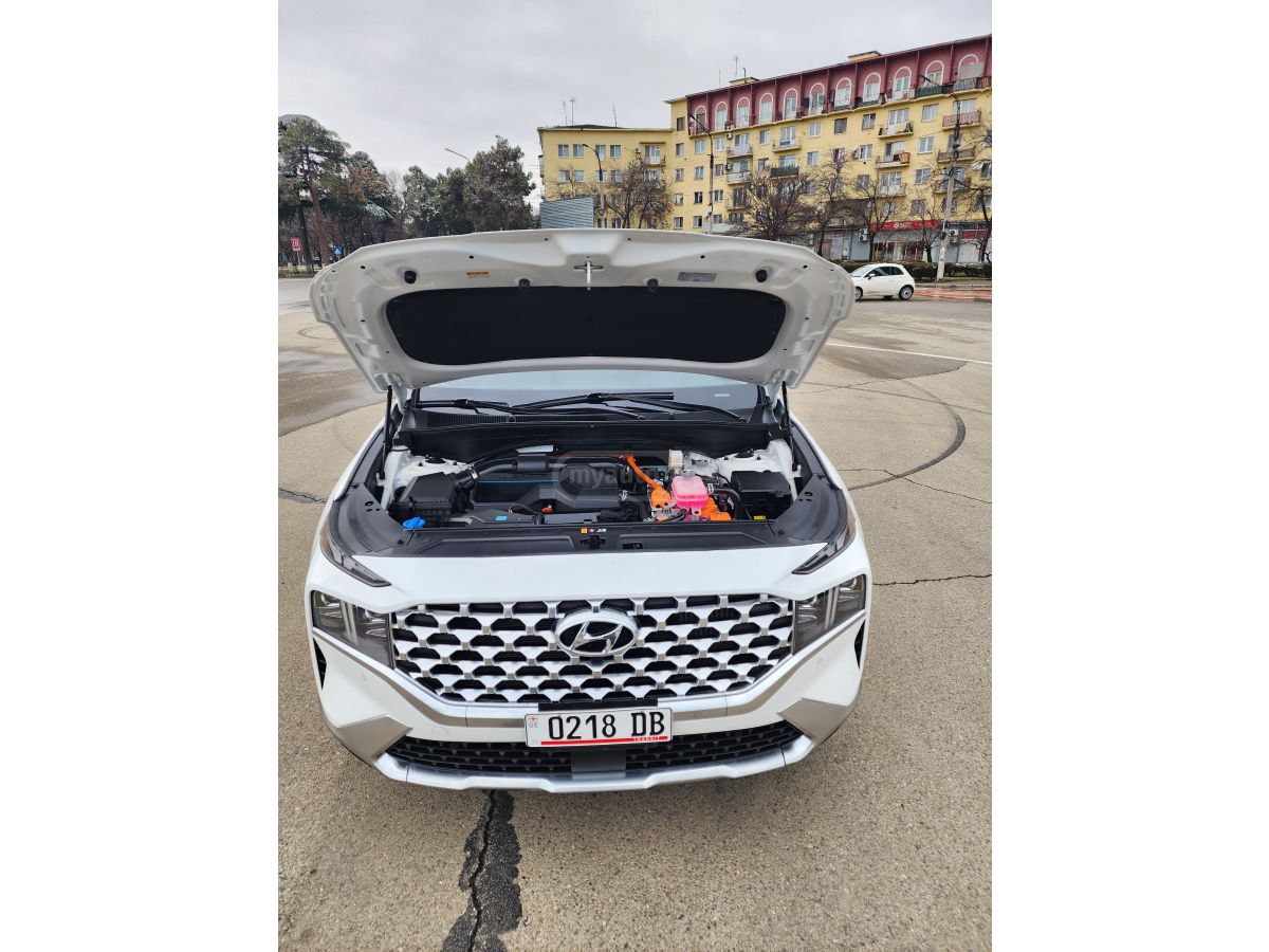 Hyundai Santa FE - фото 9