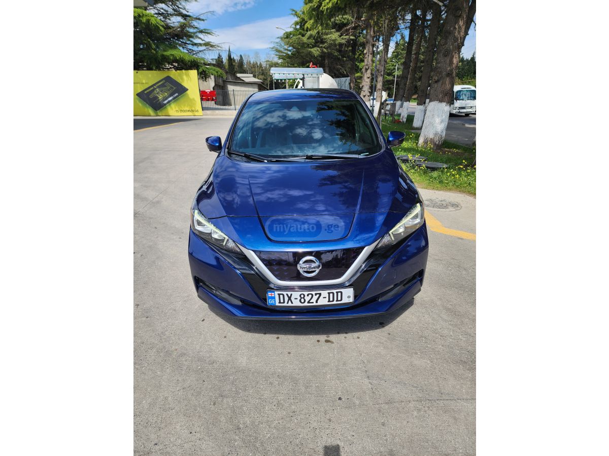 Nissan Leaf - фото 1