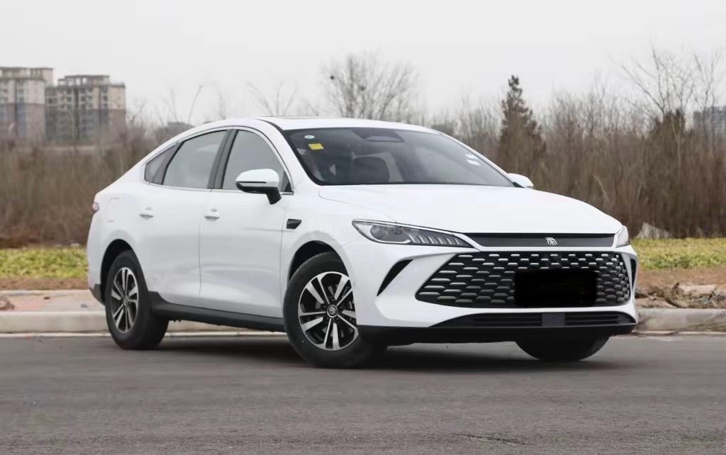 BYD Qin Plus - фото 2