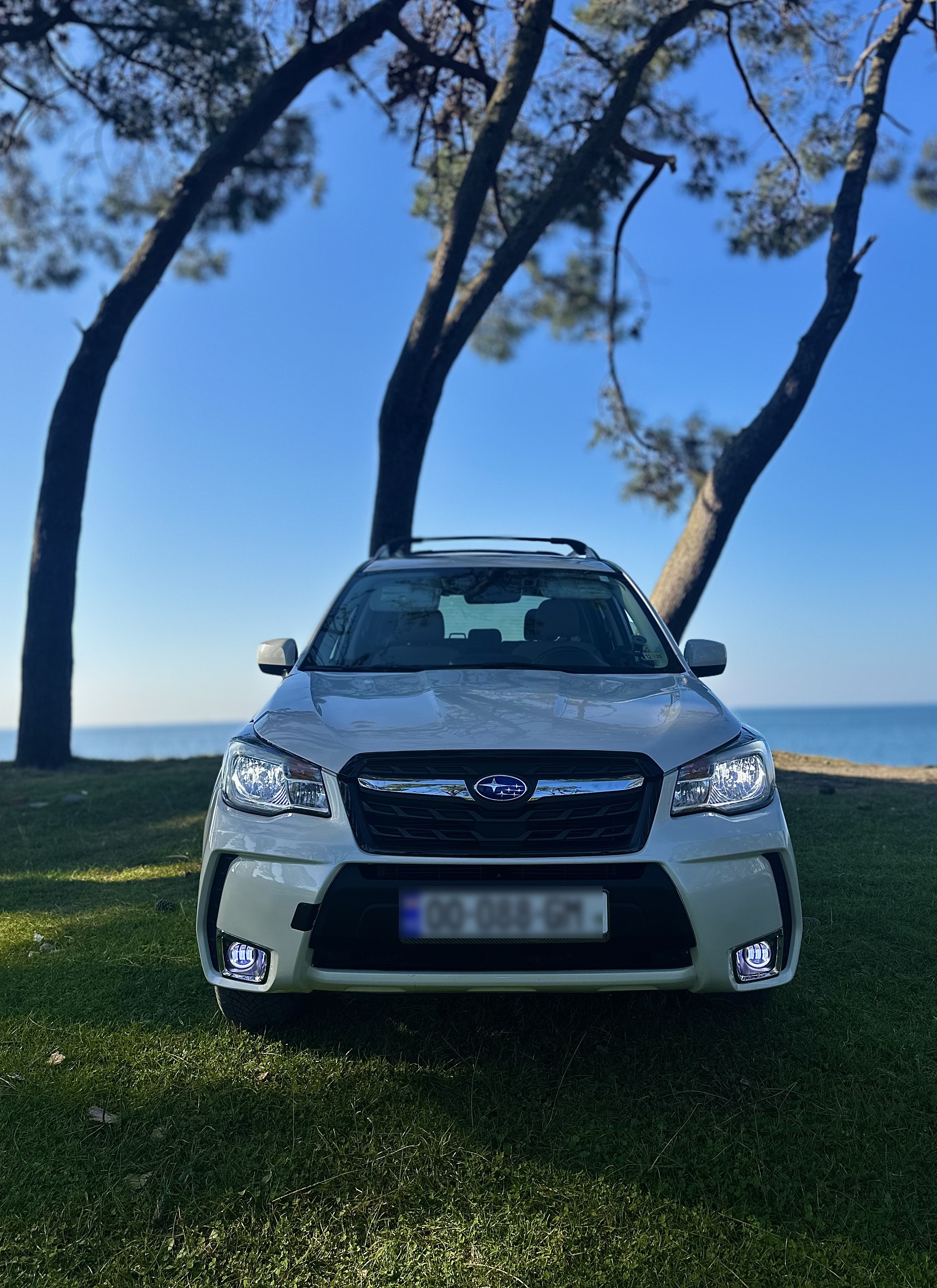 Subaru Forester - фото 1