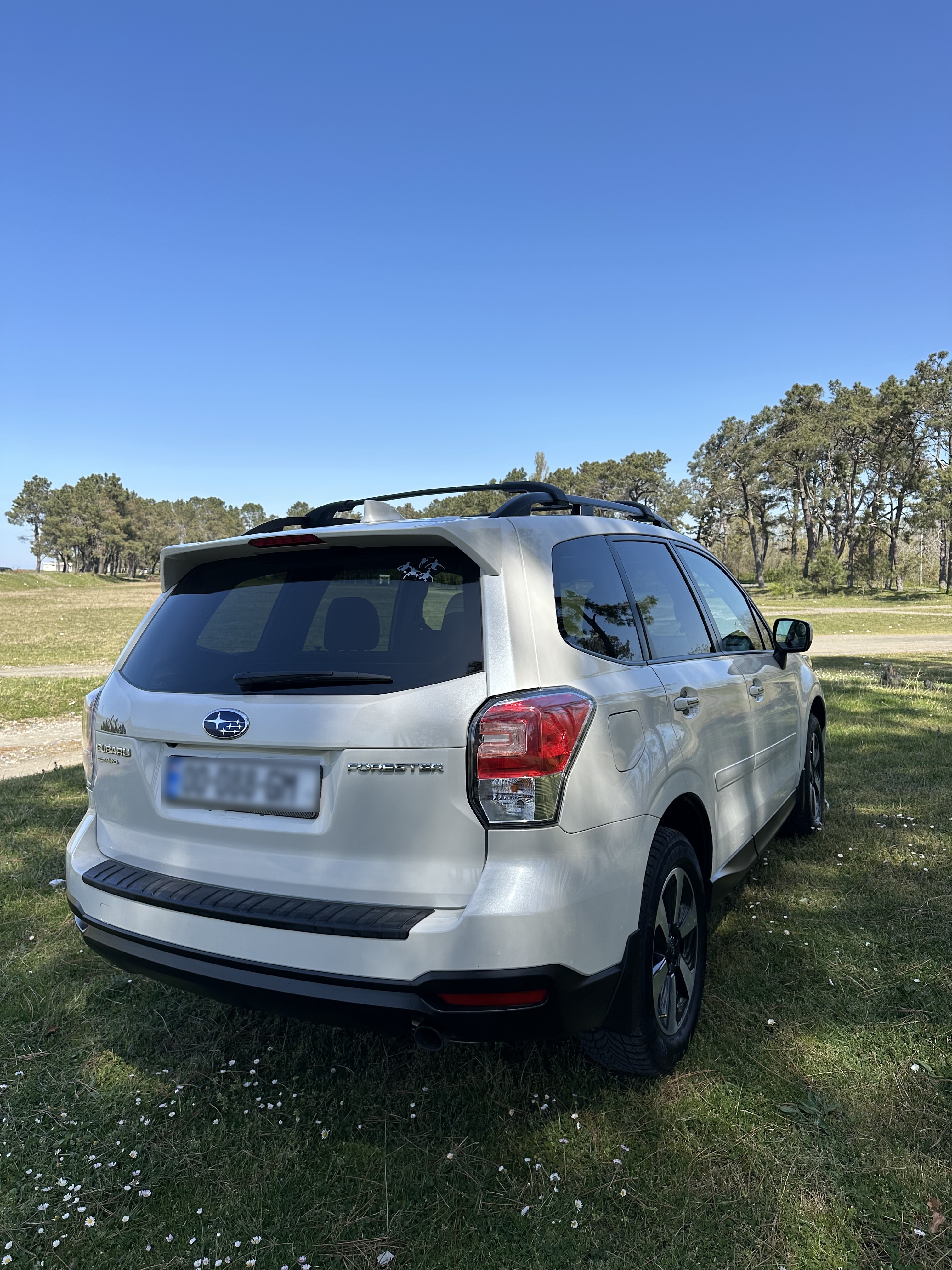Subaru Forester - фото 2