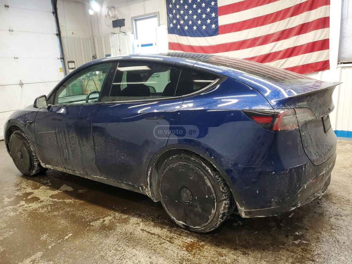 Tesla Model Y - фото 2