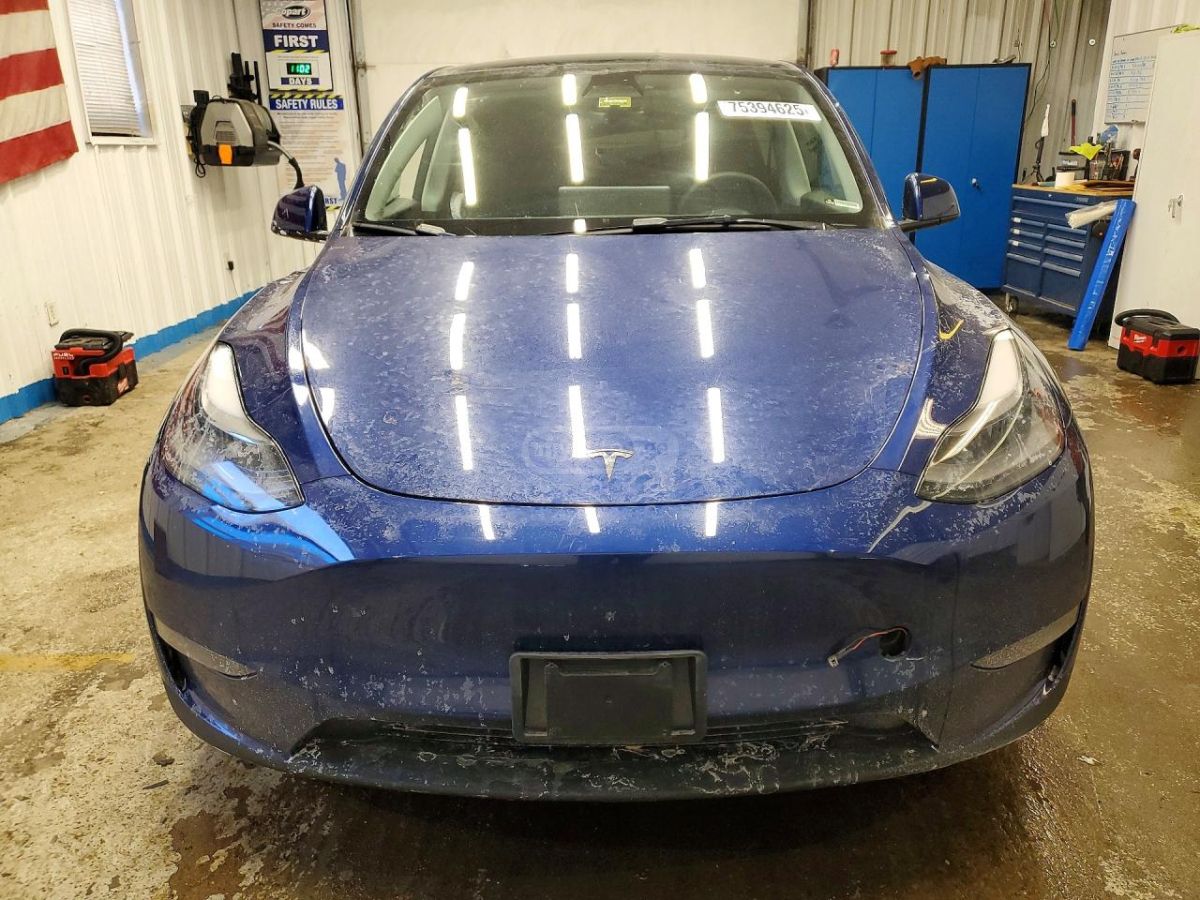 Tesla Model Y - фото 5