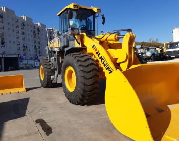 CATERPILLAR 2019