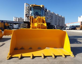 CATERPILLAR 2019