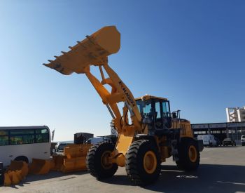 CATERPILLAR 2019