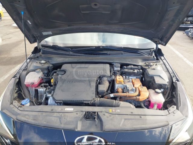 Hyundai Elantra - фото 8