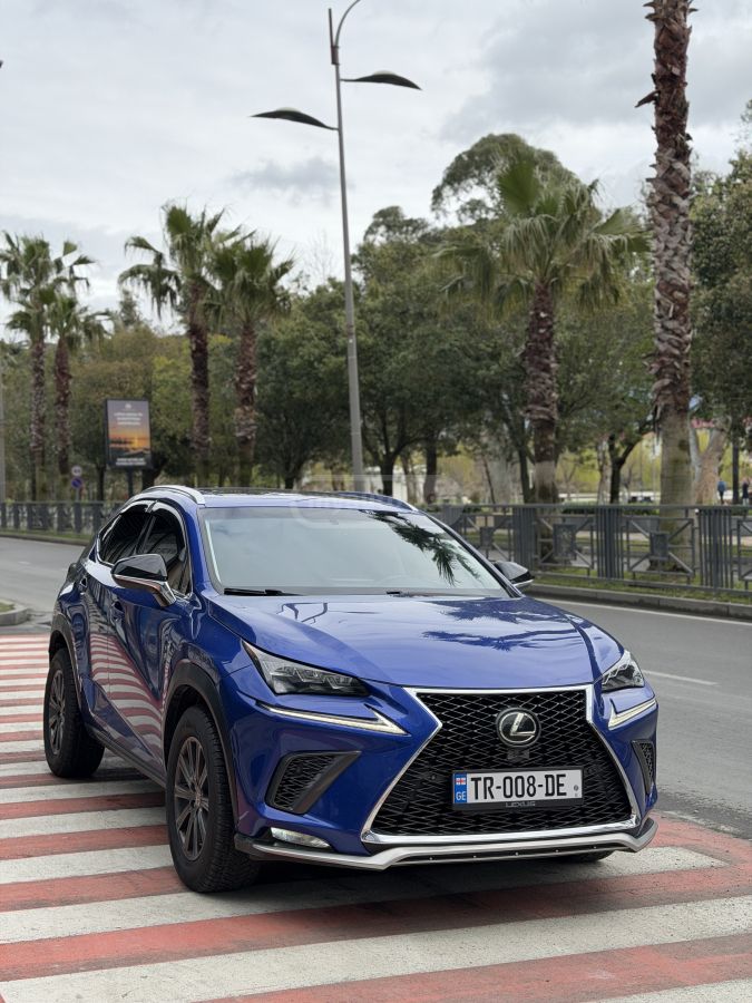 Lexus NX 200 - фото 14