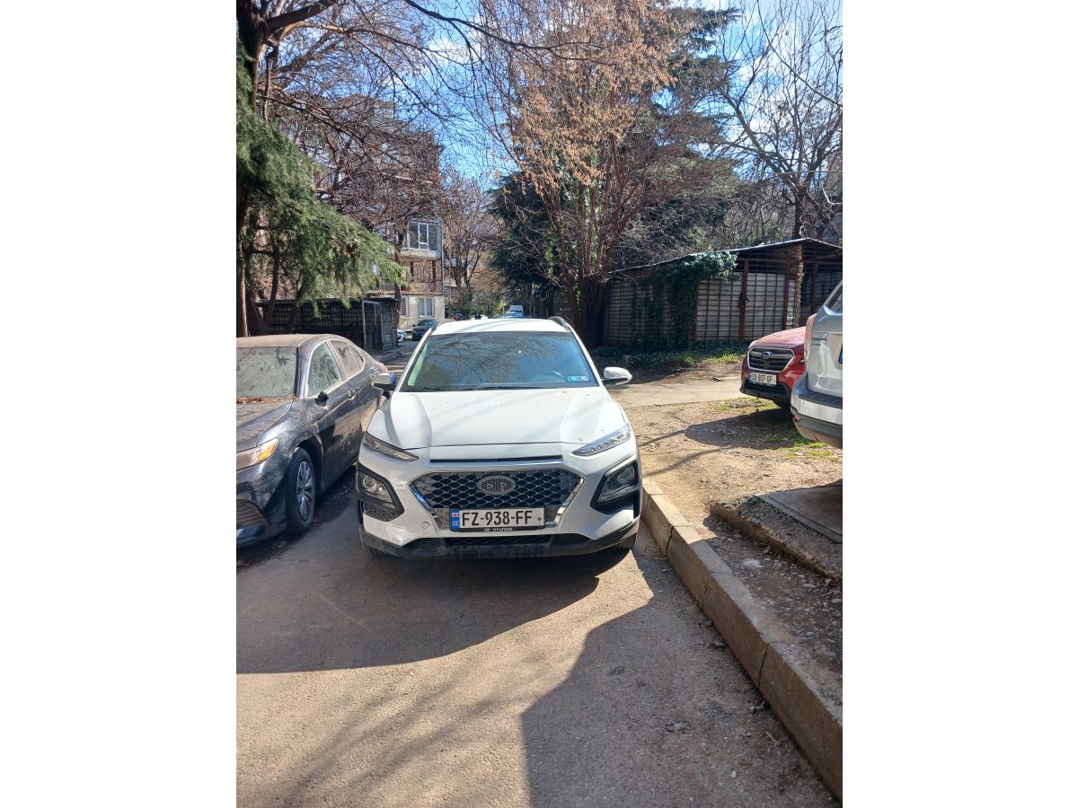 Hyundai kona - фото 1