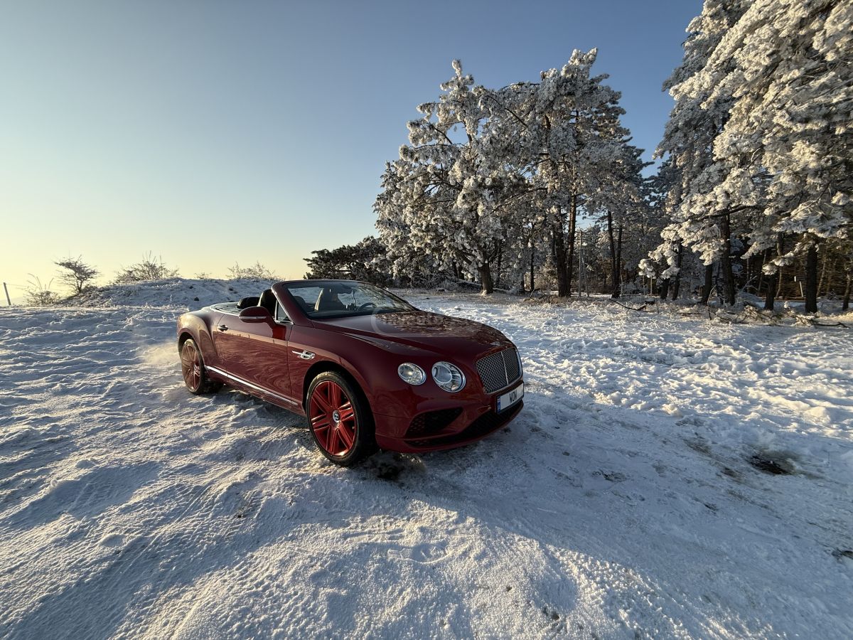 Bentley Continental - фото 10