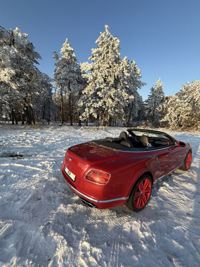 Bentley Continental - фото 14